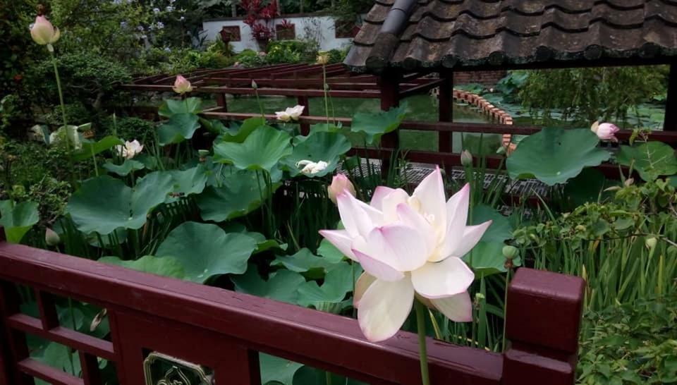Chinese Garden Houses Lejlighed Pingtung Eksteriør billede